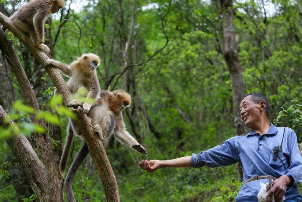 首次立法！國(guó)家公園筑起“法治屏障”