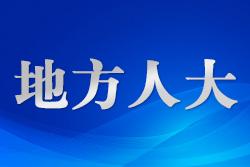 廣西人大：讓中國(guó)民主故事走出國(guó)門(mén)